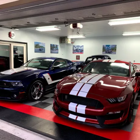 mustangs in the house