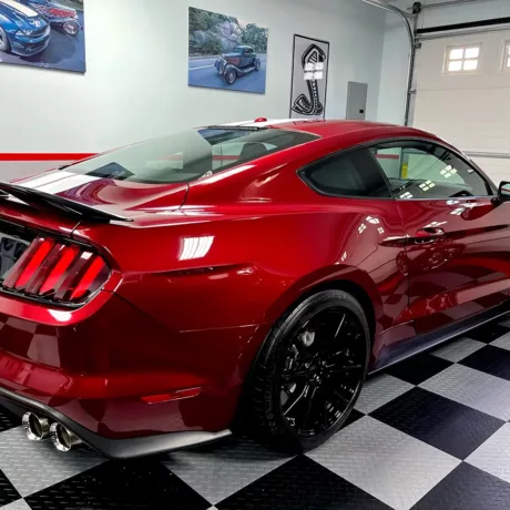 burgundy mustang