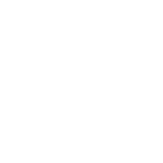 download pdf