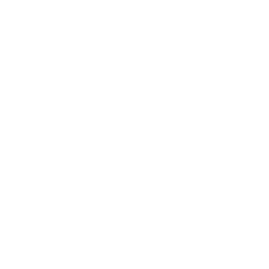 download pdf