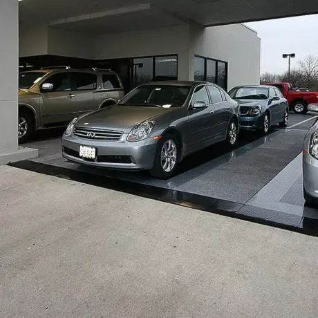 infinity carpet RD grph ally 1