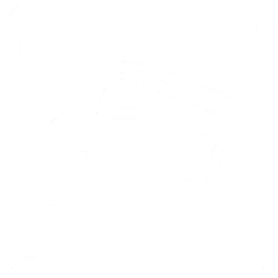 Buy Icon 2